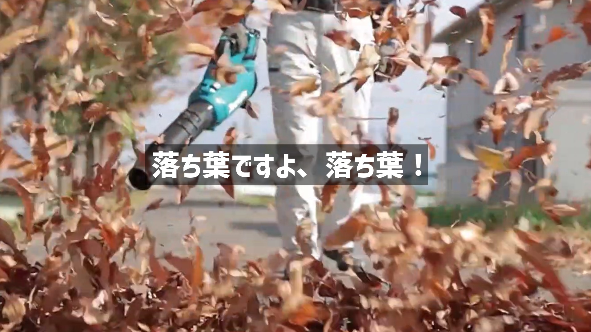ブロワー（送風機）を使って、大量の枯れ葉を勢いよく吹き飛ばしている様子の写真。中央に「落ち葉ですよ、落ち葉！」という躍動感のあるテキストが配置されています。